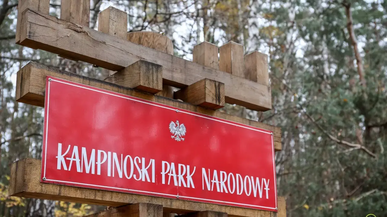 Drewniany drogowskaz z napisem "KAMPINOSKI PARK NARODOWY" i godłem Polski. W tle las.
