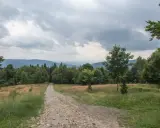 Kamienista ścieżka prowadzi przez trawiaste zbocze ku lasowi. W oddali widać pasma górskie pod pochmurnym niebem. To miejsce, gdzie można poczuć się jak na hrobaczej łące.