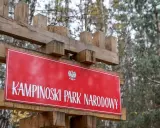 Drewniany drogowskaz z napisem "KAMPINOSKI PARK NARODOWY" i godłem Polski. W tle las.