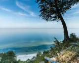 Widok na spokojne morze z klifu w Międzyzdrojach. Drzewo na pierwszym planie, plaża w oddali. Piękne międzyzdroje atrakcje przyrodnicze.