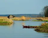 Spokojna tafla wody w Narwiańskim Parku Narodowym, przy brzegu drewniana łódź, w oddali chata kryta strzechą i trzcinowiska.