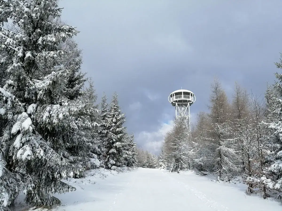 Śnieżny szlak prowadzi do wieży widokowej na jagodnym szczycie. Otaczają go zasypane śniegiem drzewa.