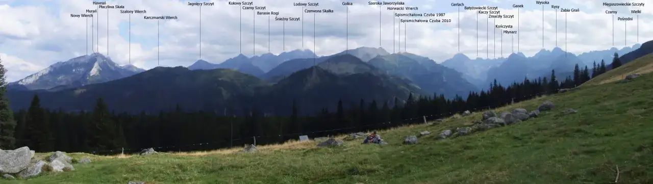 Widok na Tatry z Rusinowej Polany. Na pierwszym planie zielona łąka z kamieniami, w oddali pasmo górskie z oznaczonymi szczytami.