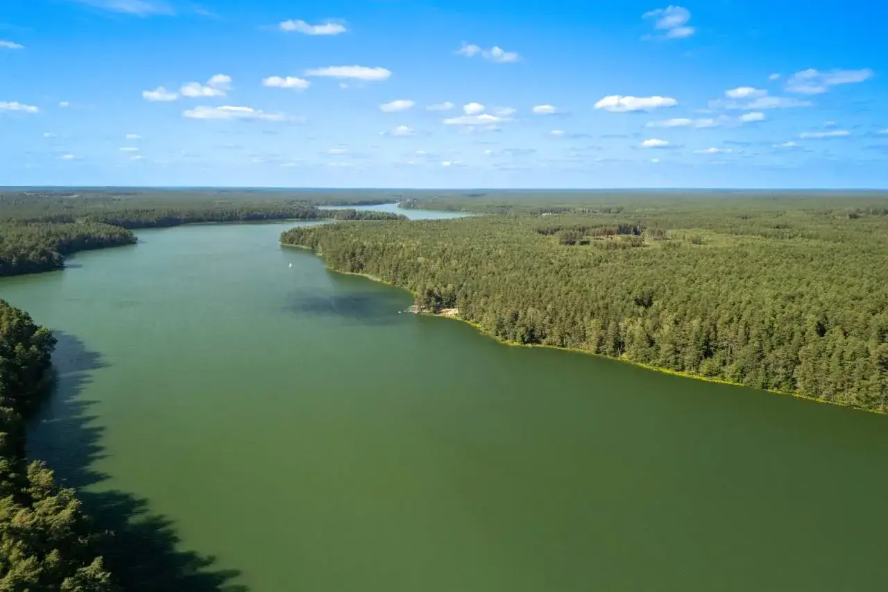 Zielona tafla jeziora otoczona lasem, idealne miejsce na Mazury.