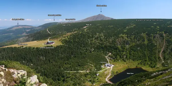 Widok na Karkonosze z górującą Śnieżką. W dole lasy, hale i Mały Staw. Słonecznik górski kwitnie na zboczach.